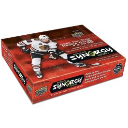 2019-2020 NHL Synergy - Hockey Display
