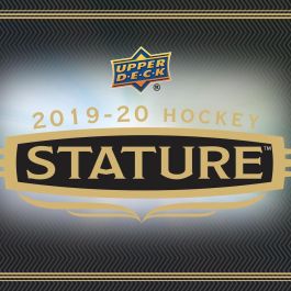 2019-2020 NHL Stature Hockey Display 