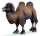 SCHLEICH - Wild Life, Trampeltier