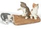 SCHLEICH - Farm Life, Katzenjungen