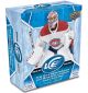 2019-2020 NHL Upper Deck Ice Hockey Display