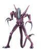 Aliens vs Predator (Arcade)  Razor Claws Actionfigur