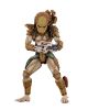 Aliens vs Predator - Arcade Appearance Hunter Predator