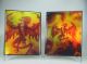 4 Pocket Portfolio Phoenix
