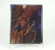 4 Pocket Portfolio Treemen (Baument)