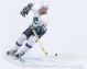 NHL Figur Serie VII (Todd Bertuzzi)