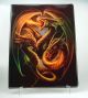 9 Pocket Portfolio Triple Head Dragon