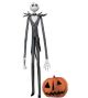 Nightmare Before Christmas 24