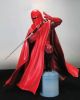 Star Wars Royal Guard Model Kit