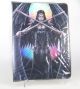 9 Pocket Portfolio Dark Angel