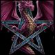 9 Pocket Portfolio Penta Dragon