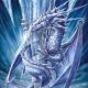 9 Pocket Portfolio Arctic Dragon