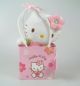 Hello Kitty Plüsch in Geschenktüte