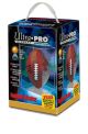Football Display Acryl