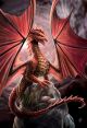 Vertical Deck Armor Dragons Lair