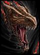 Dare To Tear Dragon Protectors