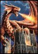 Dragon Fury Protectors