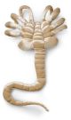 ALIEN Facehugger Plush