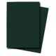 Alpha Protectors Emerald Green Japan