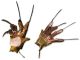 Nightmare on Elm Street 1984: Handschuh - Freddy Glove Replica