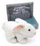Monty Python Rabbit With Big Pointy Teeth