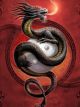 Protector of Wudang Dragon Protectors