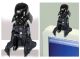 Star Wars Darth Vader Computer Sitter Bobble-Head