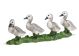 SCHLEICH - Farm Life, Höckerschwanküken