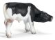 SCHLEICH - Farm Life, Kalb Schwarzbunt, saugend