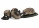 SCHLEICH - Wild Life, Igel Jungen