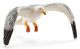 SCHLEICH - Wild Life, Möve