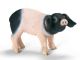 SCHLEICH - Farm Life, Schwäbi.-Hällisches Ferkel