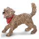 SCHLEICH - Farm Life, Mischlingshund, spielend
