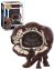 POP! - Stranger Things - Dart Figur