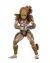 Aliens vs Predator - Arcade Appearance Hunter Predator