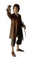 Lord Of The Rings - Frodo Baggins Series 2 - Deluxe Actionfigur