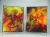 4 Pocket Portfolio Phoenix