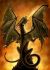 Fire Breather Dragon Protectors - Japan