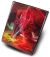 9 Pocket Portfolio Wrath of the Dragon
