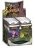 Duels of the Planeswalker (Intro Decks, EN) 5er Set