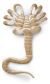 ALIEN Facehugger Plush