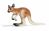 SCHLEICH - Wild Life, Kängurujunges