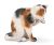 SCHLEICH - Farm Life, Katze, putzend
