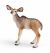 SCHLEICH - Wild Life, Kudujunges