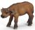 SCHLEICH - Wild Life, Kaffernbüffel Kalb