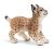SCHLEICH - Wild Life, Luchsjunges