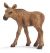 SCHLEICH - Wild Life, Elch Kalb