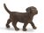 SCHLEICH - Farm Life, Labrador Welpe braun