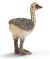 SCHLEICH - Wild Life, Straußenjunges