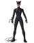 DC Comics Designer Jae Lee - Catwoman Actionfigur